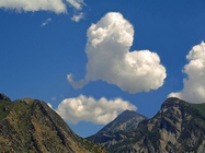 wolkenhart